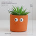 Emberroot-Inspired Artificial Succulents For Immersive Setups