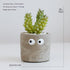 Emberroot-Inspired Artificial Succulents For Immersive Setups