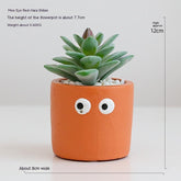 Emberroot-Inspired Artificial Succulents For Immersive Setups