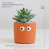 Emberroot-Inspired Artificial Succulents For Immersive Setups
