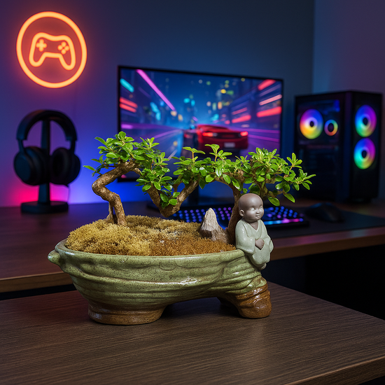 Aesthetic Minimalist Gaming Setup