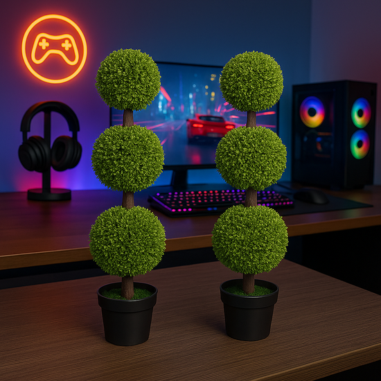 Minimalist Black Gaming Setup