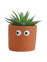 Emberroot-Inspired Artificial Succulents For Immersive Setups
