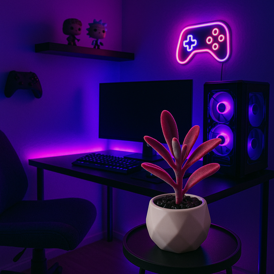 Custom Pc Build 2025
